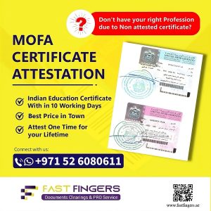 WhatsApp Image 2024-08-06 at 12.40.08 PM