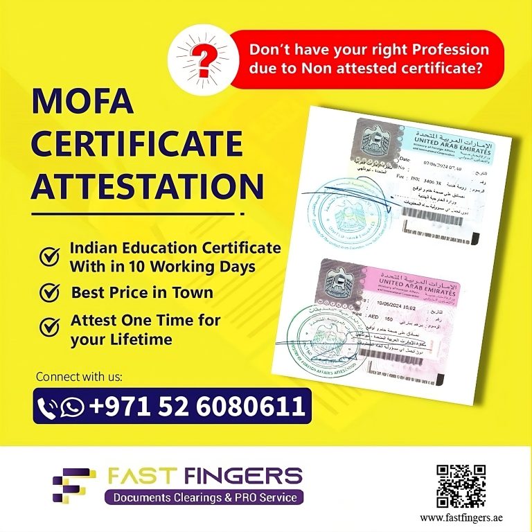 WhatsApp Image 2024-08-06 at 12.40.08 PM